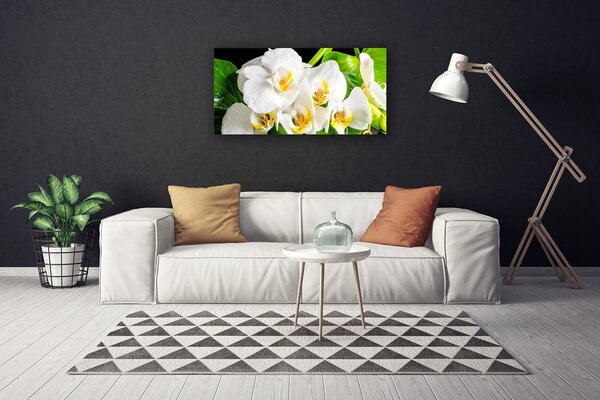 Quadro stampa su tela Fiori di orchidea Natura 100x50 cm