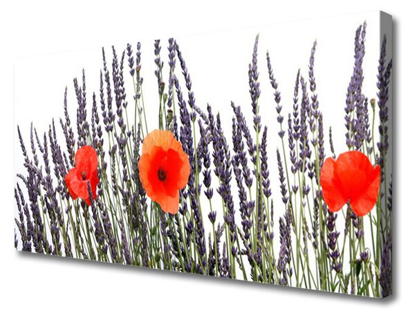 Quadro su tela Papaveri Fiori Campo Di Erba 100x50 cm