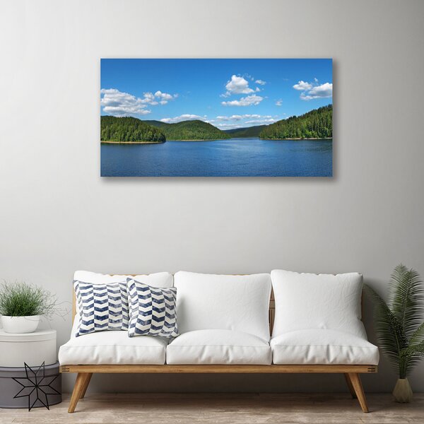 Quadro su tela Paesaggio della foresta del lago 100x50 cm