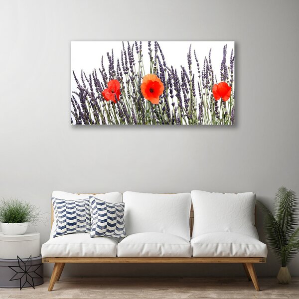 Quadro su tela Papaveri Fiori Campo Di Erba 100x50 cm