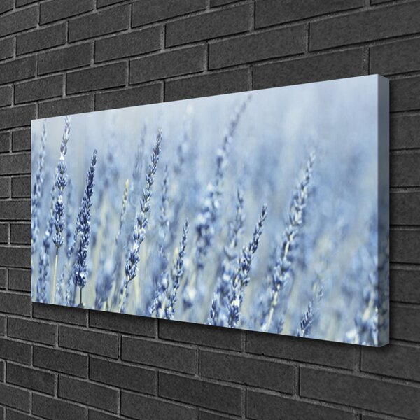 Quadro su tela Fiori. Orecchie. Prato. Natura 100x50 cm