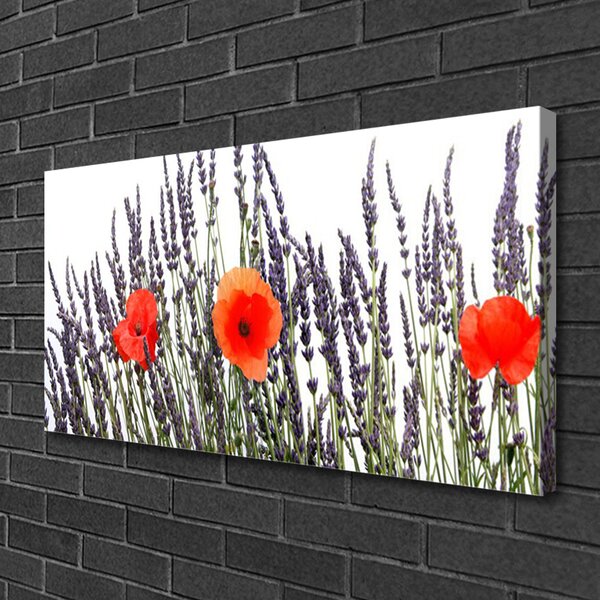 Quadro su tela Papaveri Fiori Campo Di Erba 100x50 cm