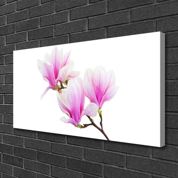 Quadro su tela Fiori, piante, natura 100x50 cm