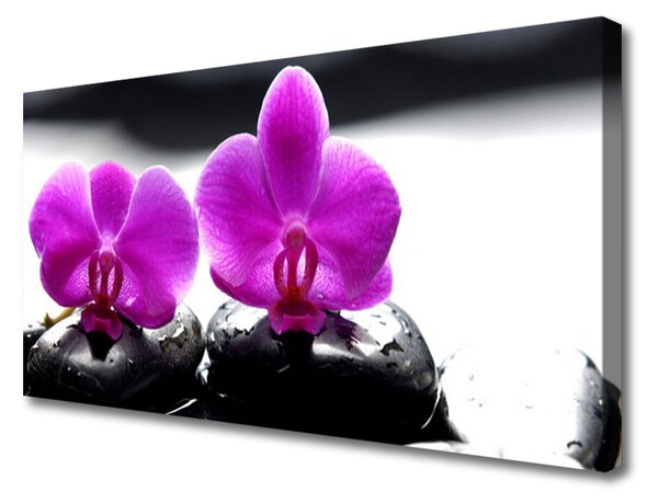 Quadro su tela Fiori di orchidea della natura 100x50 cm