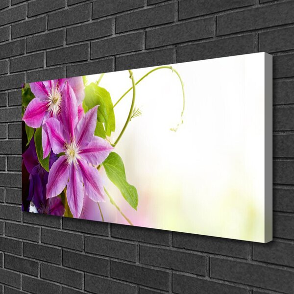 Stampa quadro su tela Natura Natura Fiori 100x50 cm