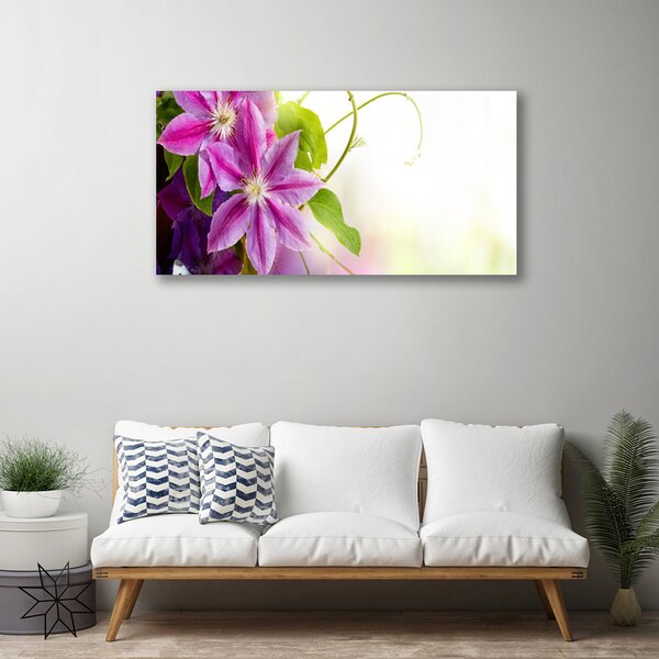 Stampa quadro su tela Natura Natura Fiori 100x50 cm