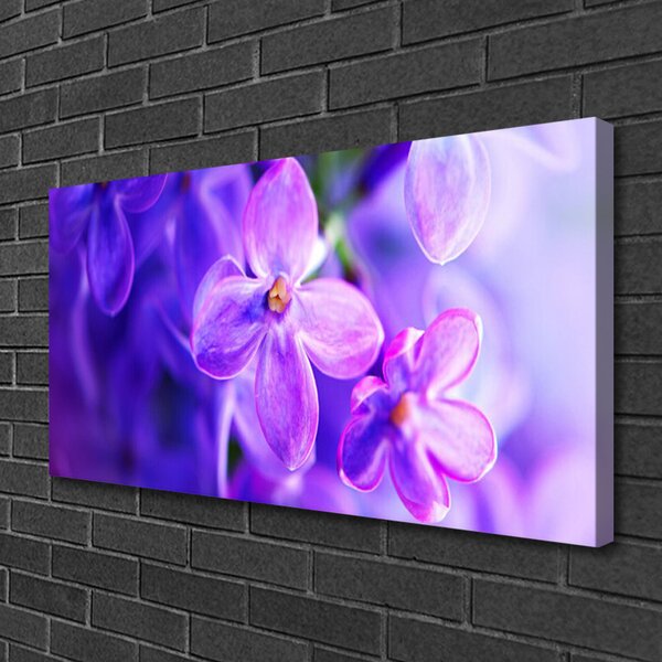 Quadro su tela Fiori viola della natura 100x50 cm