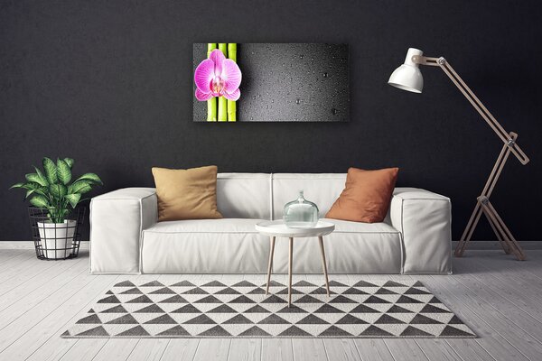 Quadro su tela Fiori di orchidea di bambù 100x50 cm