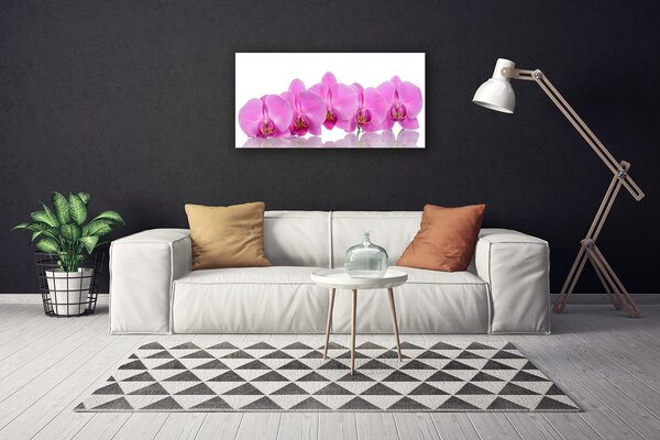 Quadro su tela Fiori di orchidea rosa 100x50 cm