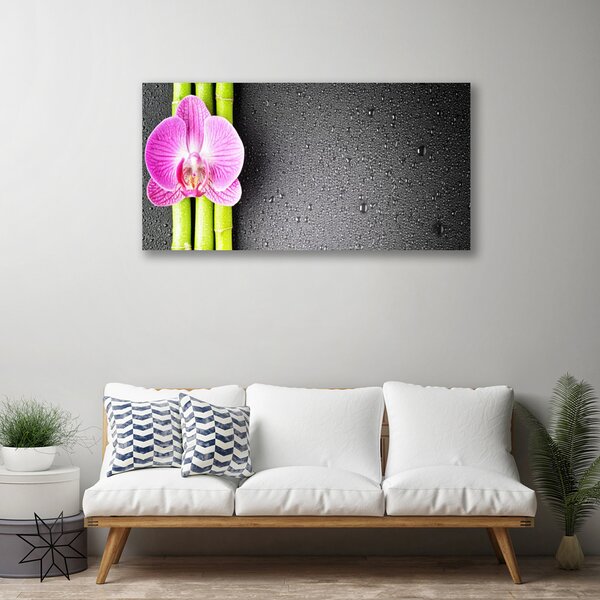Quadro su tela Fiori di orchidea di bambù 100x50 cm