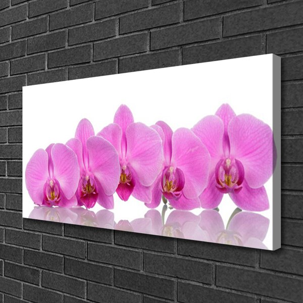 Quadro su tela Fiori di orchidea rosa 100x50 cm
