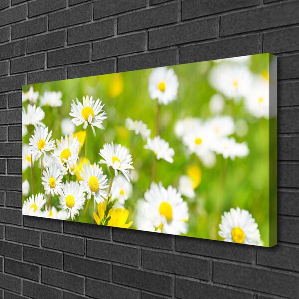 Quadro su tela Pianta di fiori di margherita 100x50 cm