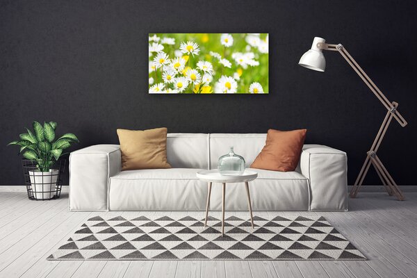 Quadro su tela Pianta di fiori di margherita 100x50 cm