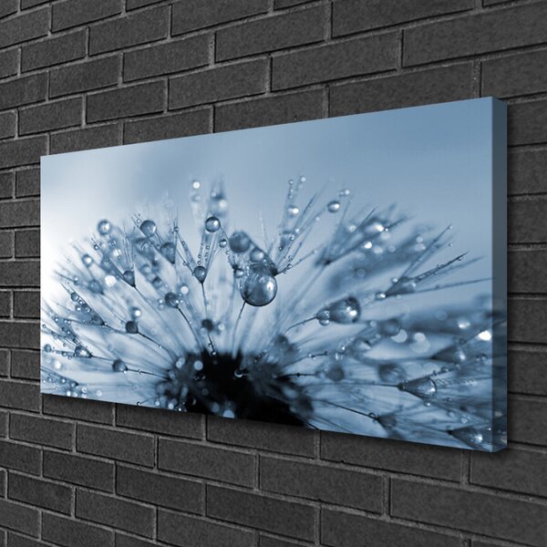 Quadro su tela Gocce di fiori di tarassaco 100x50 cm