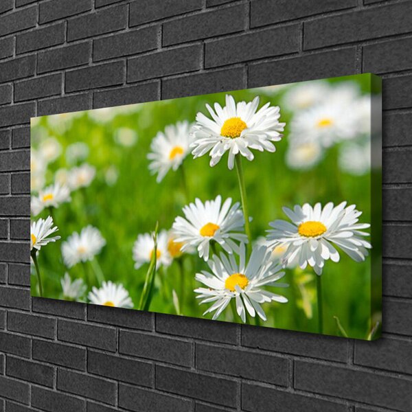 Quadro su tela Pianta di fiori di margherita 100x50 cm