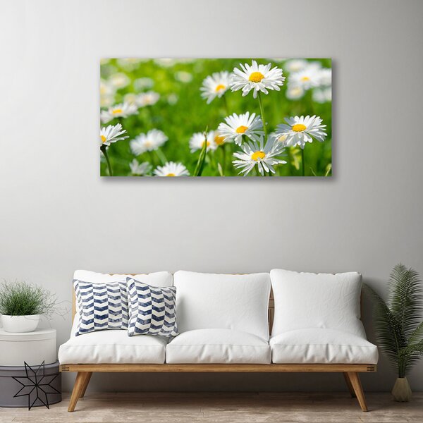 Quadro su tela Pianta di fiori di margherita 100x50 cm