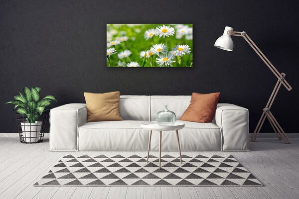 Quadro su tela Pianta di fiori di margherita 100x50 cm