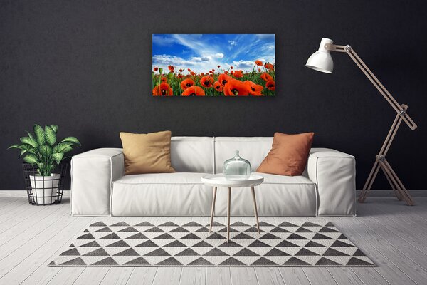 Quadro su tela Fiori di papaveri di prato 100x50 cm