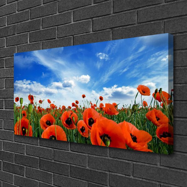 Quadro su tela Fiori di papaveri di prato 100x50 cm