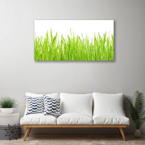 Quadro su tela Erba Natura Pianta 100x50 cm