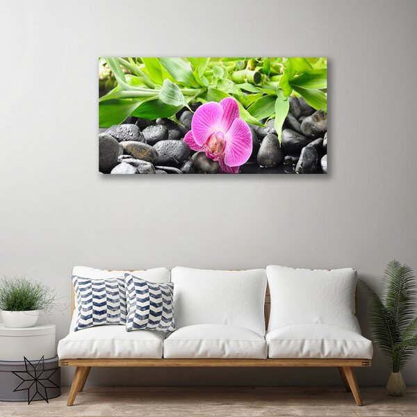 Quadro su tela Fiori della pianta dell'orchidea 100x50 cm
