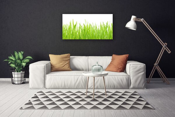 Quadro su tela Erba Natura Pianta 100x50 cm