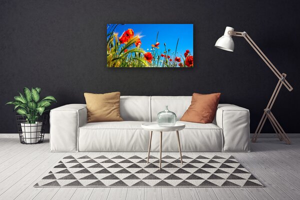 Stampa quadro su tela Papaveri Fiori Campo Di Erba 100x50 cm