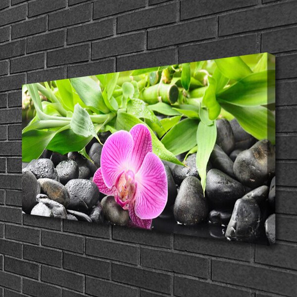 Quadro su tela Fiori della pianta dell'orchidea 100x50 cm