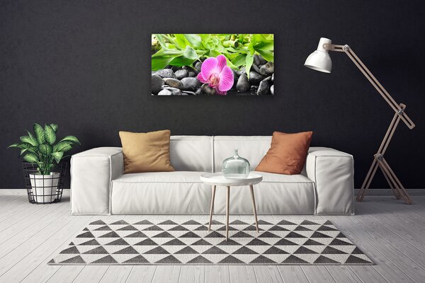 Quadro su tela Fiori della pianta dell'orchidea 100x50 cm
