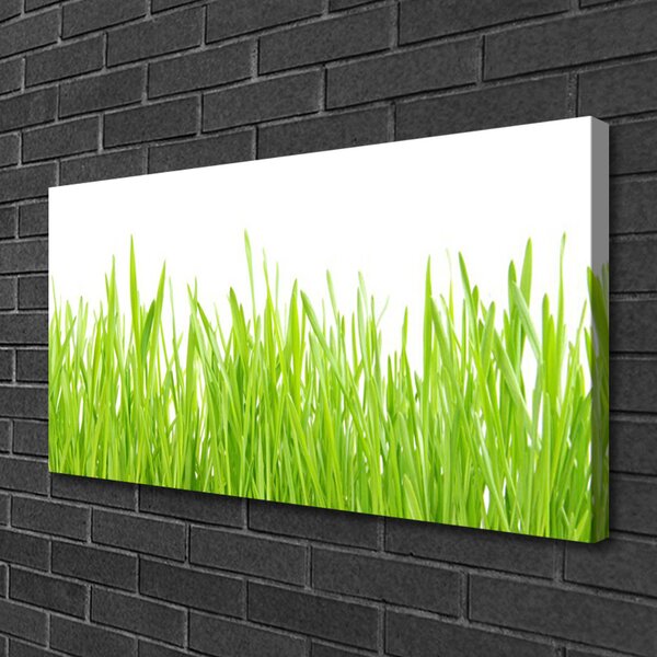 Quadro su tela Erba Natura Pianta 100x50 cm