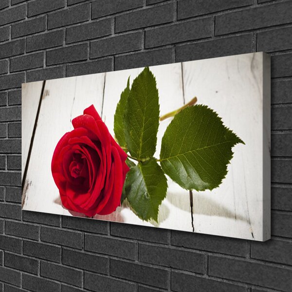 Quadro su tela Natura della pianta del fiore della rosa 100x50 cm
