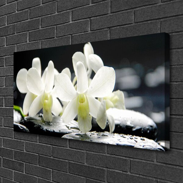 Quadro su tela Pietre, fiori di orchidea 100x50 cm