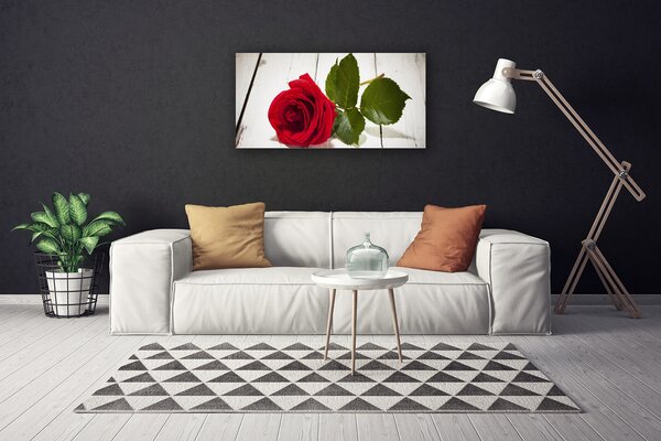 Quadro su tela Natura della pianta del fiore della rosa 100x50 cm