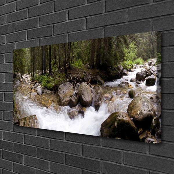 Stampa quadro su tela Foresta, fiume, cascate 100x50 cm