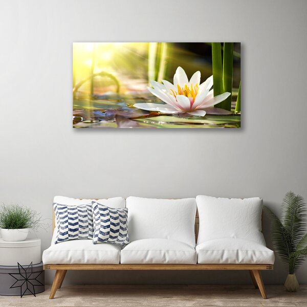 Quadro su tela Fiore di ninfea 100x50 cm
