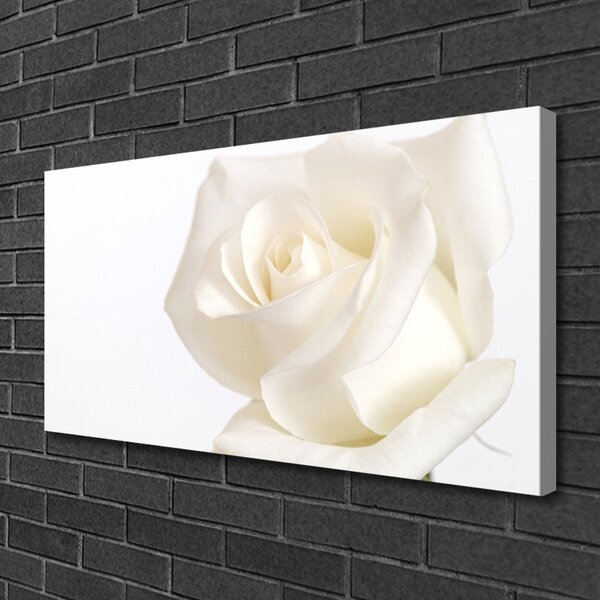Quadro su tela Fiori di rosa 100x50 cm