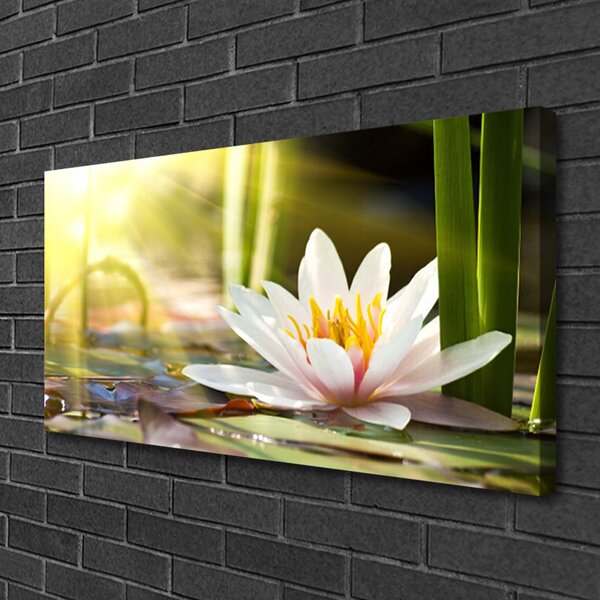 Quadro su tela Fiore di ninfea 100x50 cm