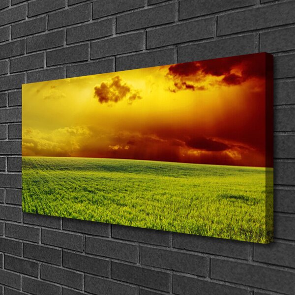 Quadro su tela Campo del paesaggio 100x50 cm