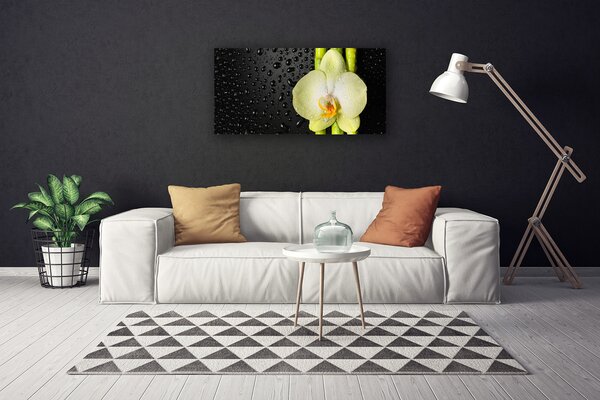 Stampa quadro su tela Fiori di orchidea di bambù 100x50 cm