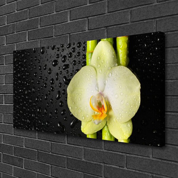 Stampa quadro su tela Fiori di orchidea di bambù 100x50 cm