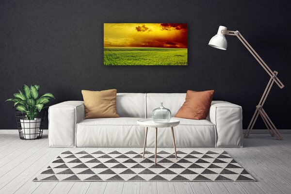 Quadro su tela Campo del paesaggio 100x50 cm