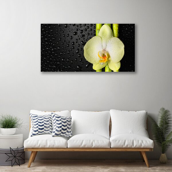 Stampa quadro su tela Fiori di orchidea di bambù 100x50 cm