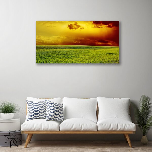 Quadro su tela Campo del paesaggio 100x50 cm