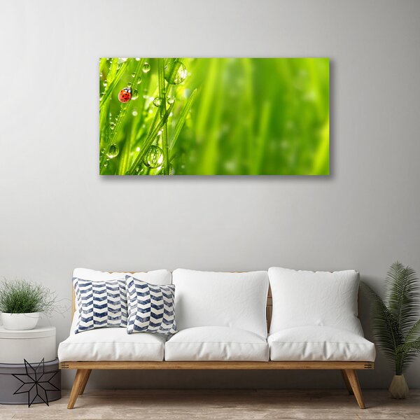 Quadro su tela Erba della natura della coccinella 100x50 cm