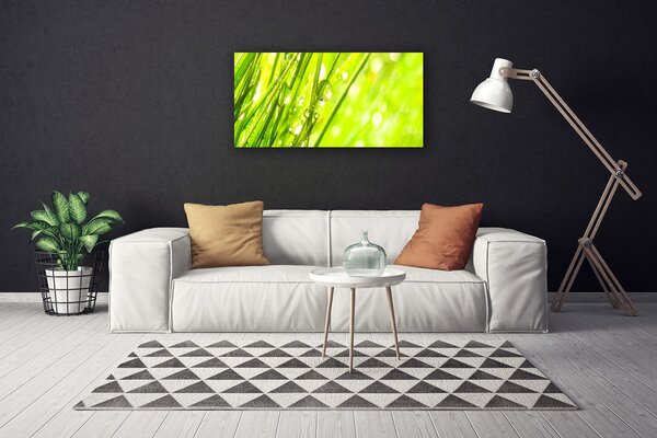 Quadro su tela Natura Gocce d'erba 100x50 cm