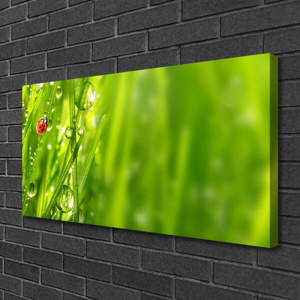 Quadro su tela Erba della natura della coccinella 100x50 cm