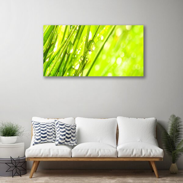 Quadro su tela Natura Gocce d'erba 100x50 cm