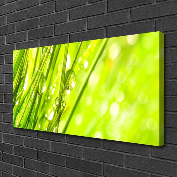 Quadro su tela Natura Gocce d'erba 100x50 cm