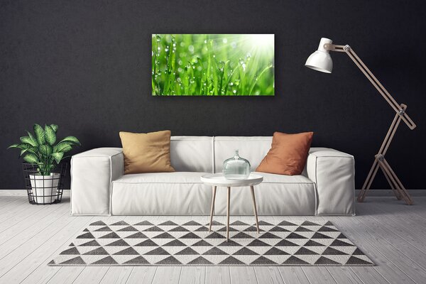 Quadro su tela Natura, erba, gocce 100x50 cm