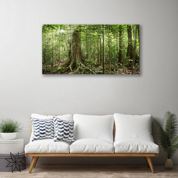 Quadro su tela Natura della foresta Alberi della giungla 100x50 cm